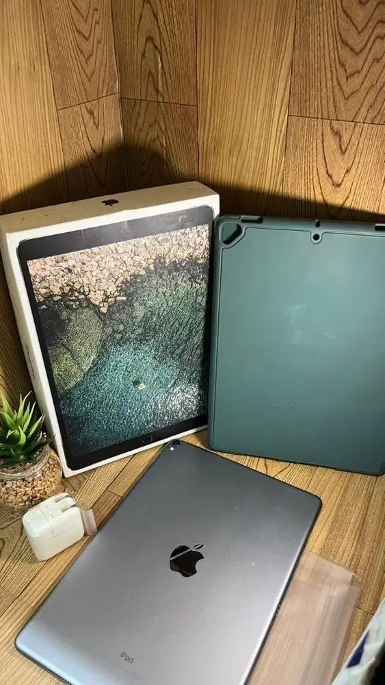 Ipad pro 256 wifi only