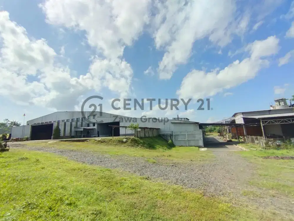 Dijual Pabrik Kayu Di Jember Jawa Tengah