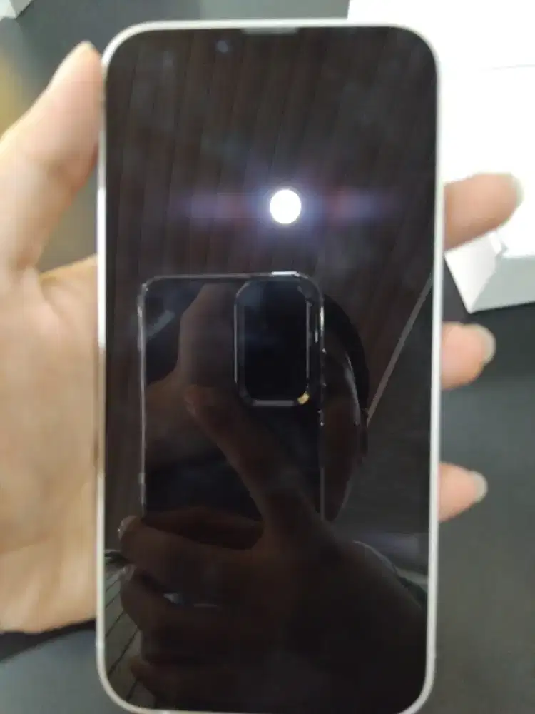 IPHONE 13 INTER 100PCS