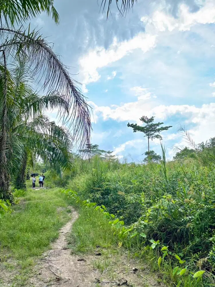 TANAH DARAT DI KOTA TANJUNG BALAI