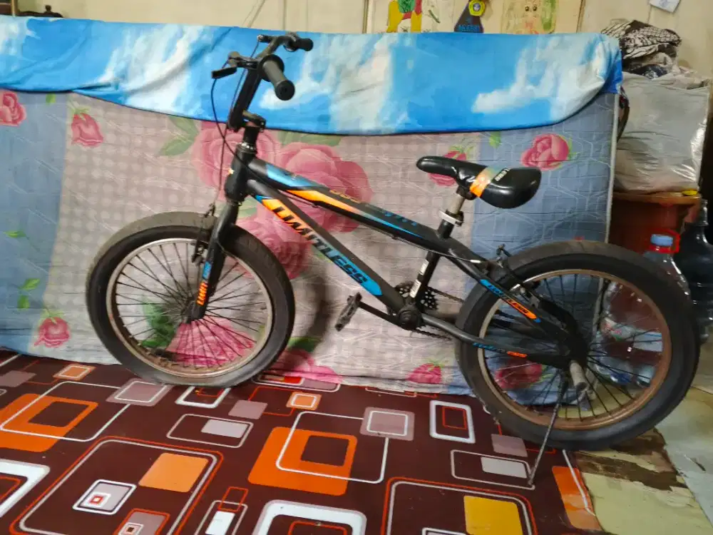 Sepeda Limitless Bekas