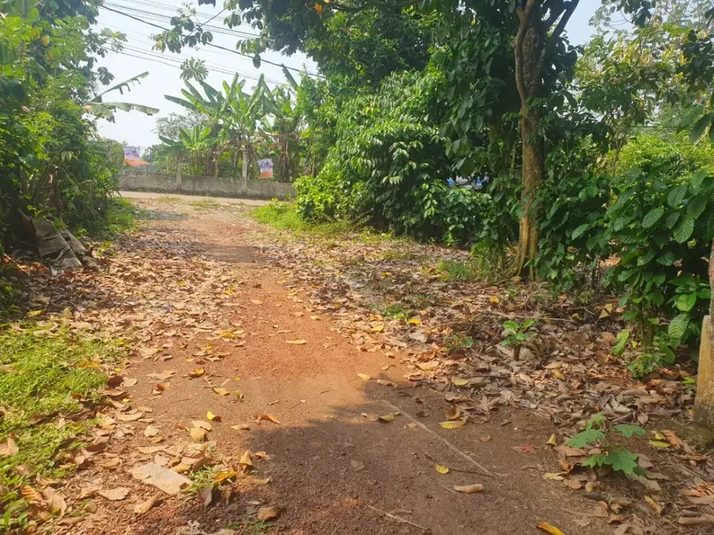 100Jtan! Tanah Cisauk Pinggir Jalan - Dekat Stasiun/Tol