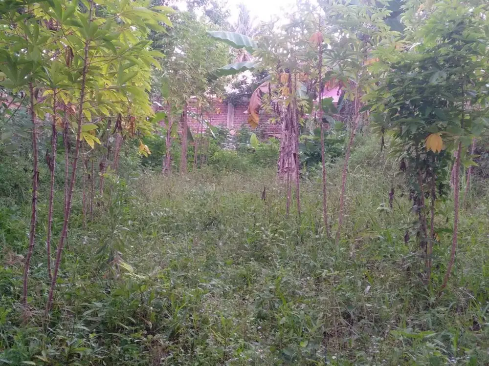 Dijual Tanah Bersebelahan Dengan Perumahan