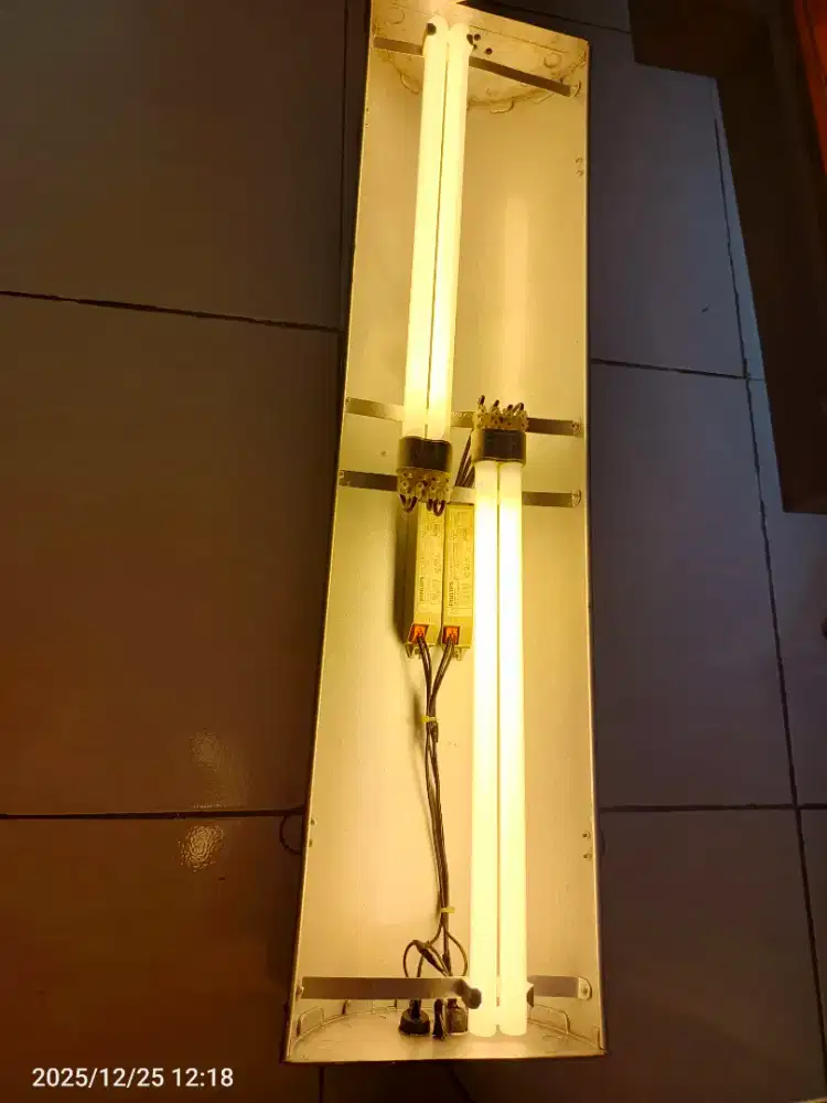 Lampu tanning arwana