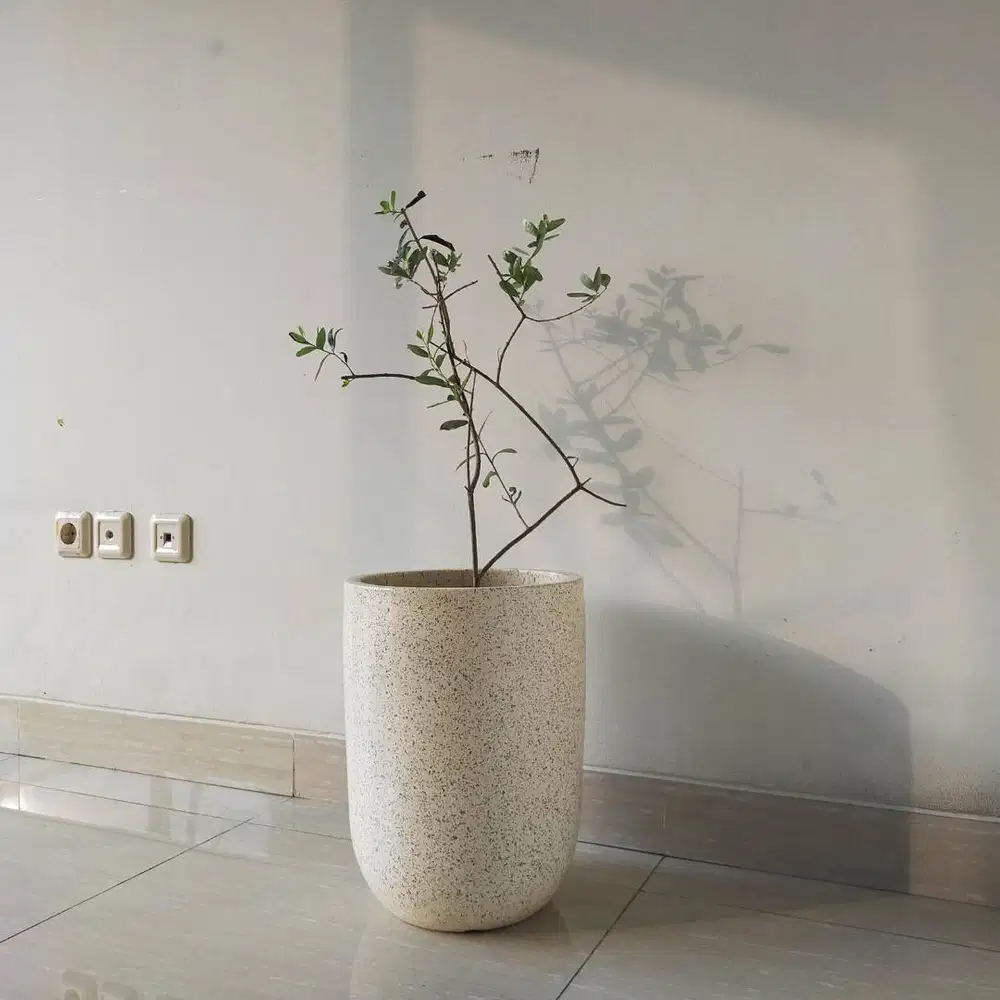 Pot Tanaman Tipe Apolo Terrazzo