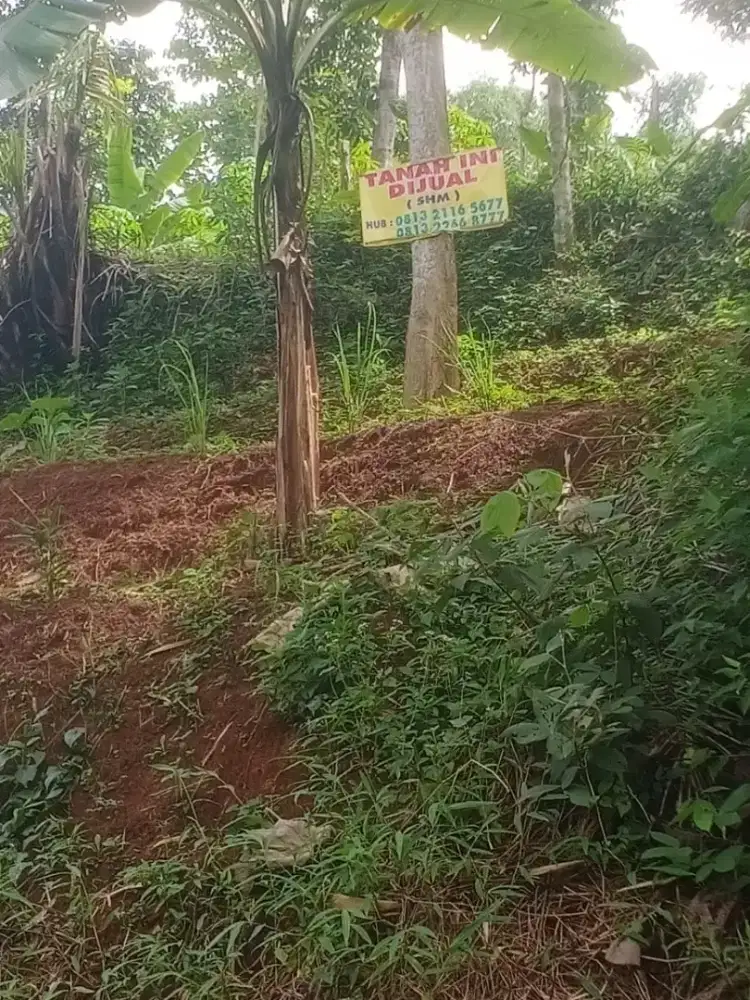 Dijual Tanah Kebun Dekat SMP N 7 Sumedang