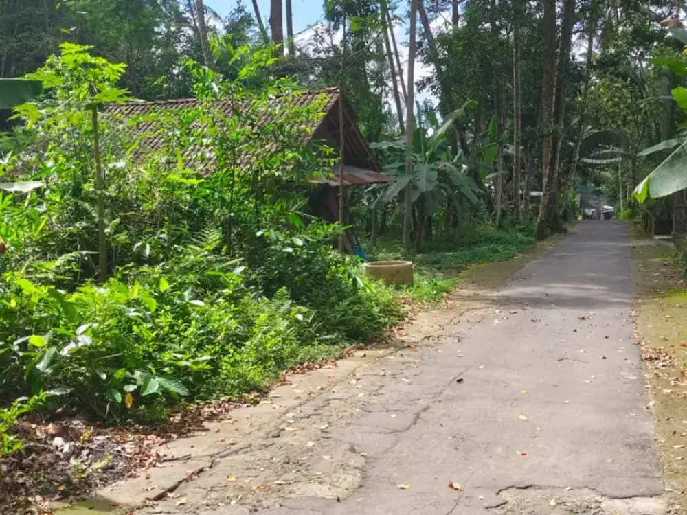 DICARI PEMBELI TANAH PEKARANGAN LUAS DAN MURAH AREA KEMALANG