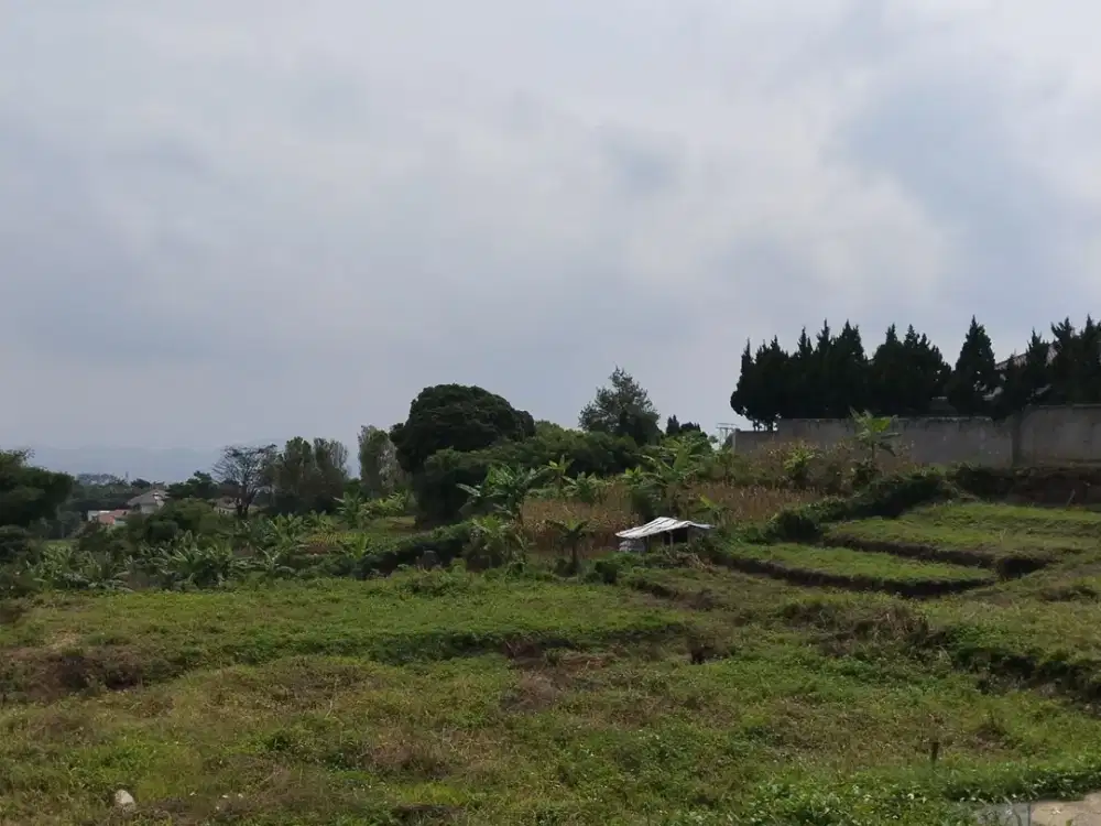 Dijual Cepat Tanah Kapling Mutiara Kolmas – Lokasi Berkembang