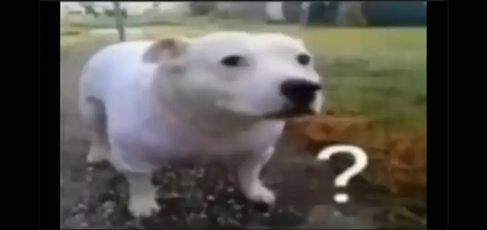 Mencari pekerjaan personal assistant