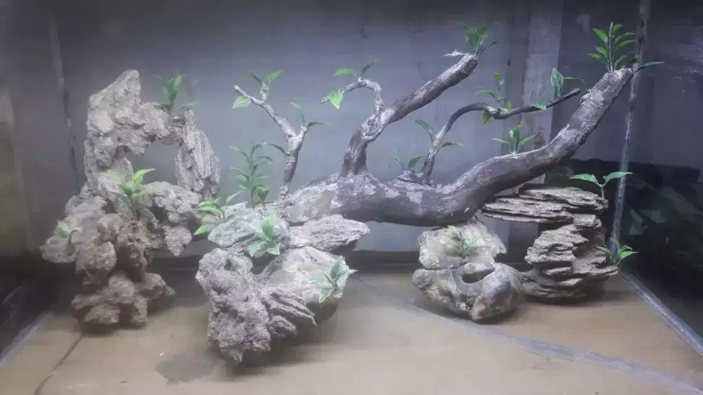 Hiasan AQuarium Aquascape hardscape 60cm