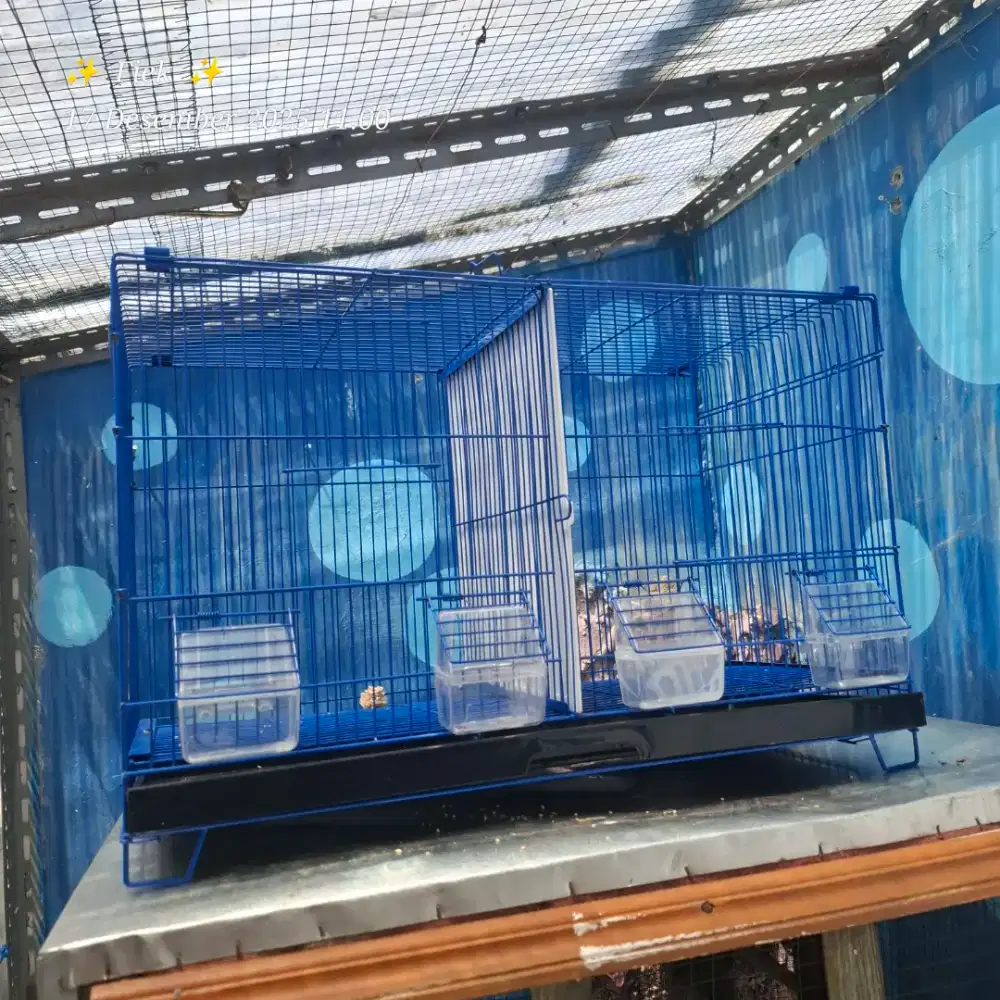 Kandang buat jodohan atau ternak