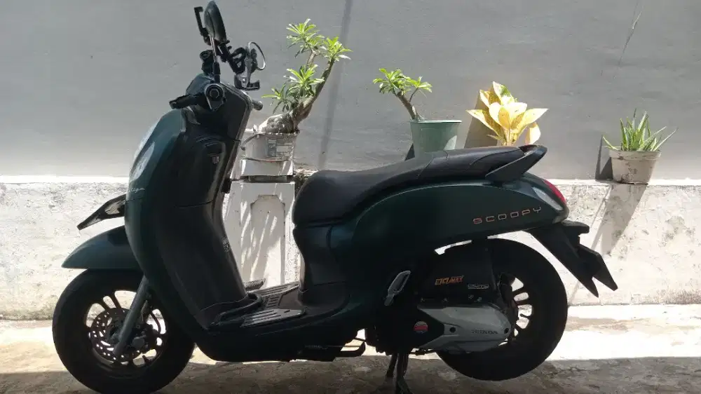 Scoopy Prestige 2022