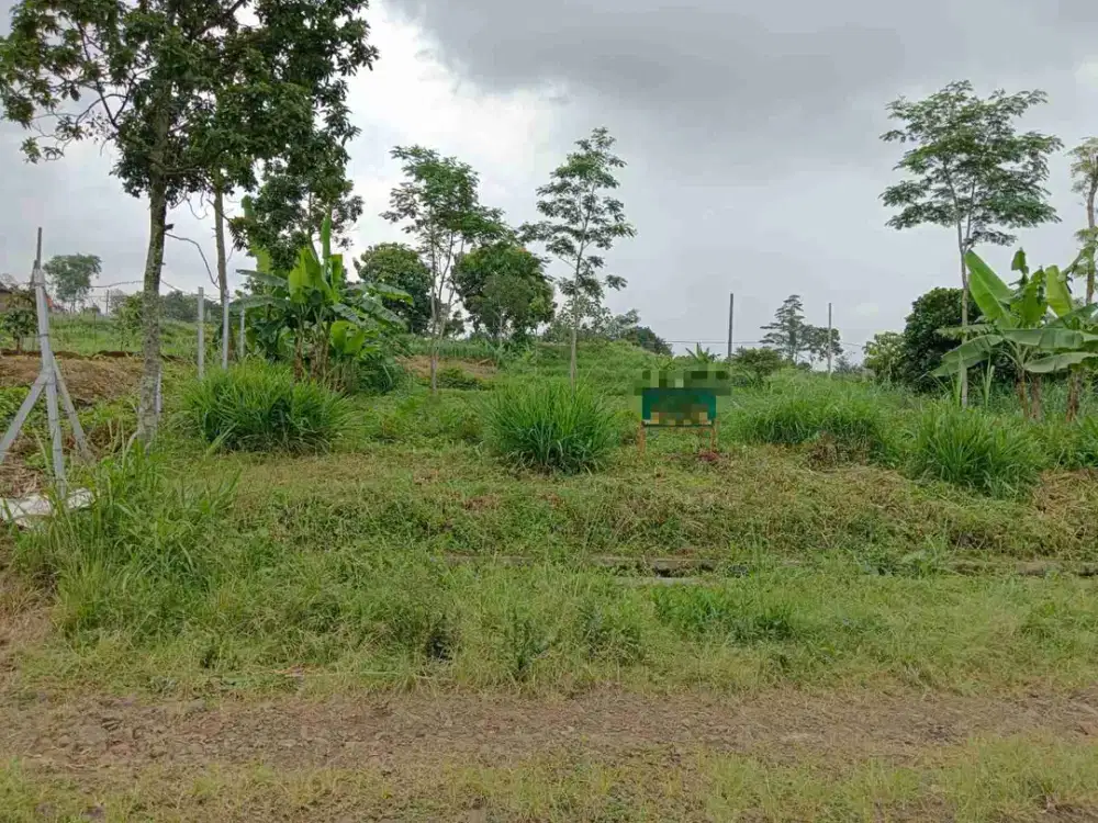 tanah kavling villa 395 m² wonosari lawang malang