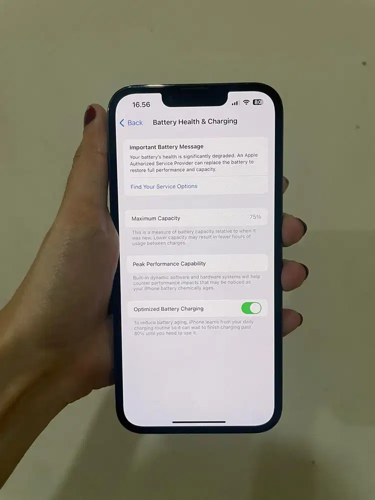 Iphone 13 Pro 256GB Alpine Green