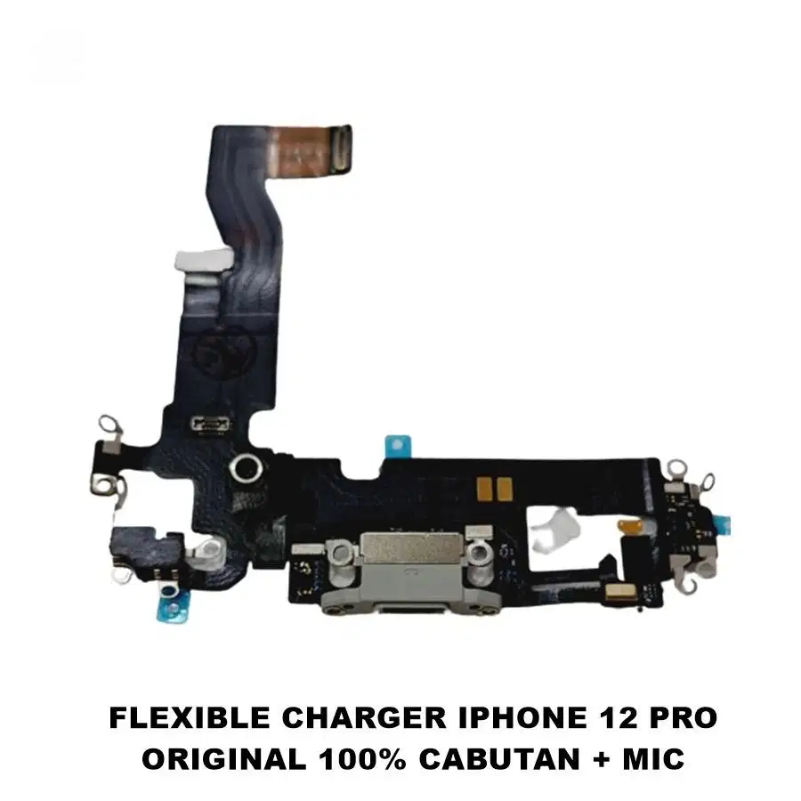 Flex Charger iPhone 12 Pro