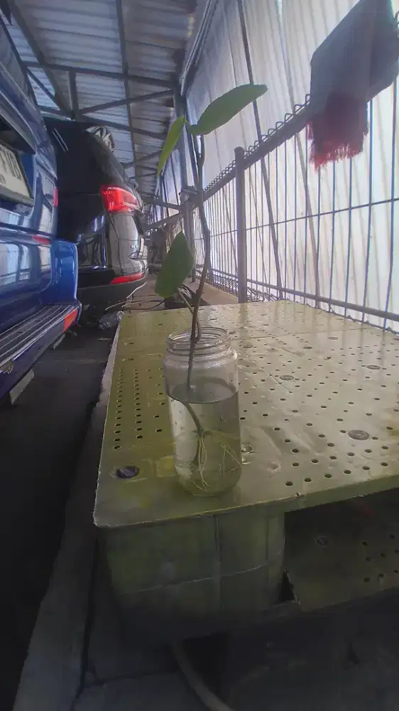 Cari pekerjaan Driver/supir