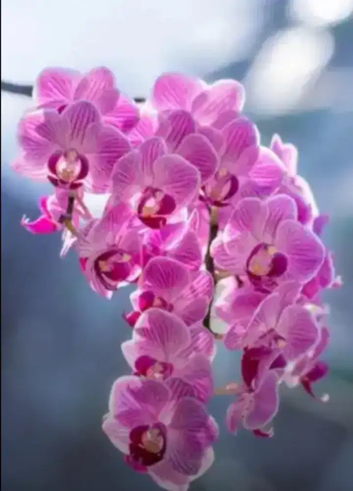 CARI KERJA ACCOUNTING