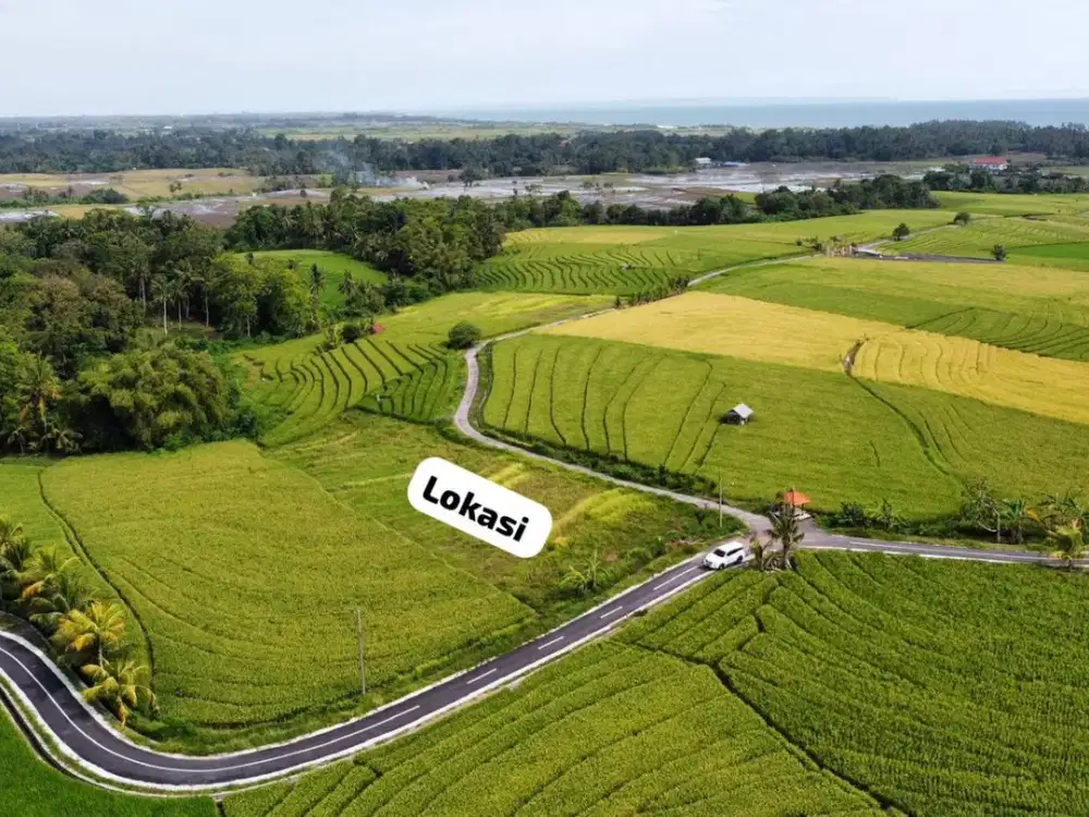 Tanah Pemandangan Sawah & Laut Area Beraban Tabanan