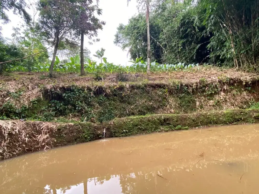 Dijual Murah Tanah 1174 m2 Kios Kebun + Kolam Ikan Bojong Purwakarta