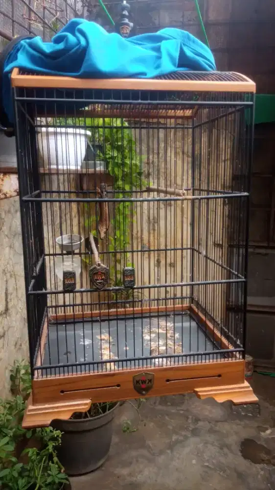 Jual kandang 2nd sangat layak pakai dan siap gantang