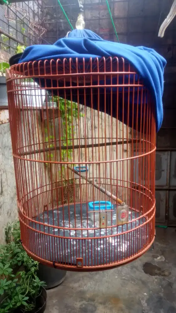 Jual kandang 2nd sangat layak pakai dan siap gantang