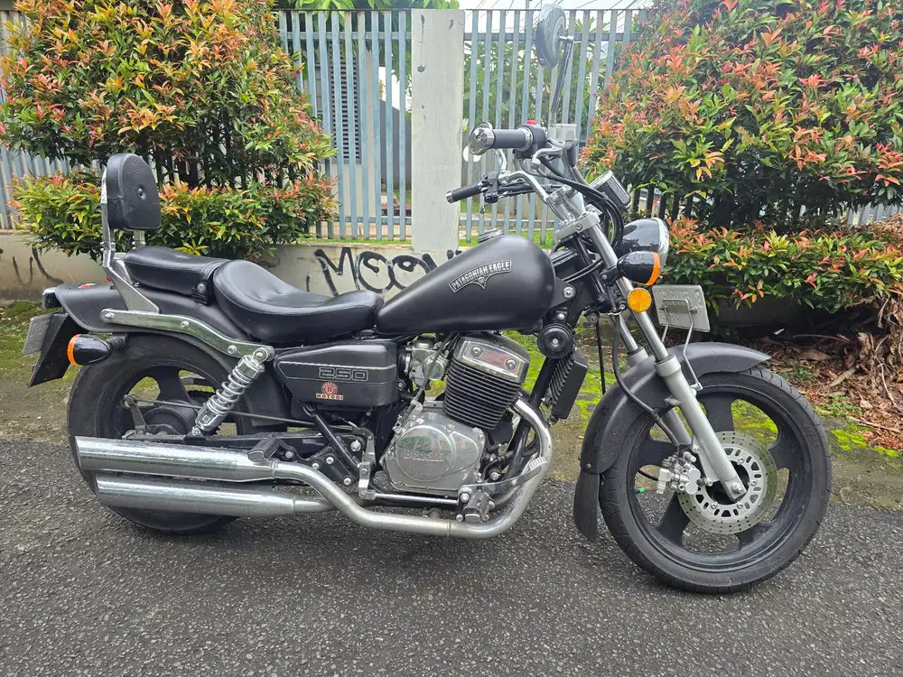 BENELLI PANTAGONIAN EAGLE THN 2021 GRESS LOW KM