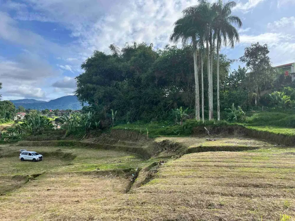 jual tanah kavling di citeko cisarua kec cisarua
