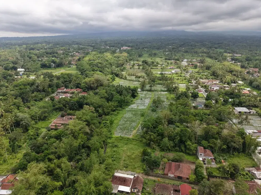 Tanah Sleman Utara Strategis - 10 Menit UII Jl. Kaliurang