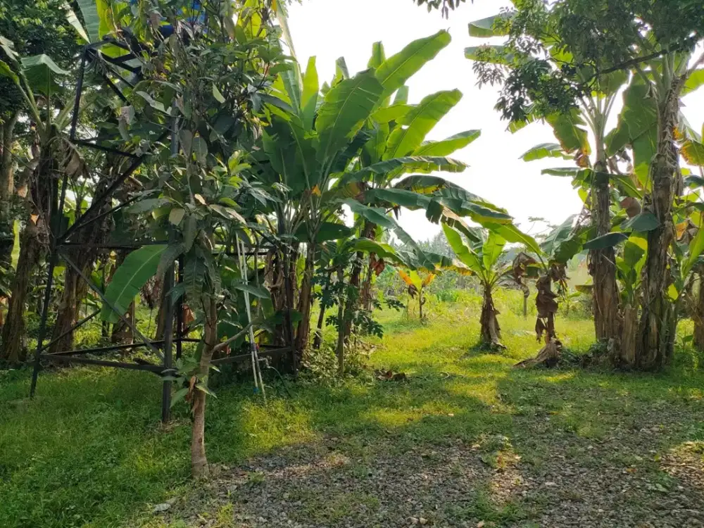 Dijual kavling di Cisauk, Tangerang