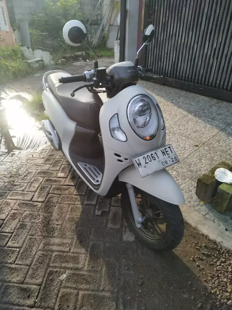 Scoopy Prestige 2023
