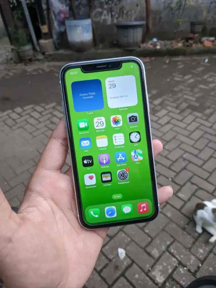 iPhone XR 64GB Inter