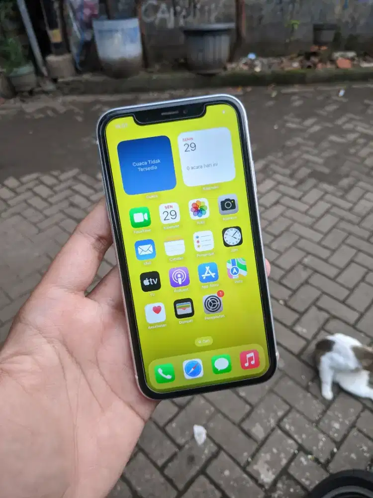 iPhone XR 64GB Inter Custom