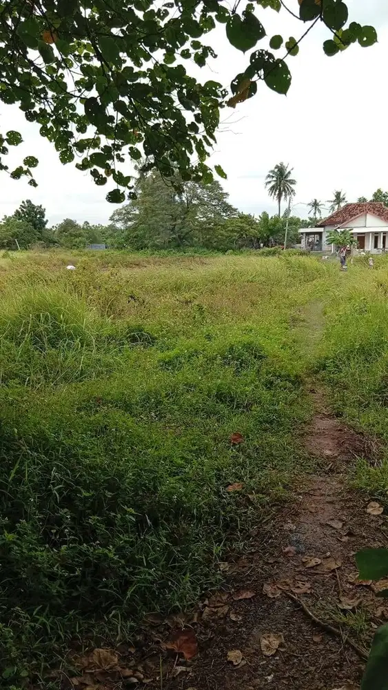 Tanah Bagus dijualMurah di Mekarsari Rajeg Sepatan