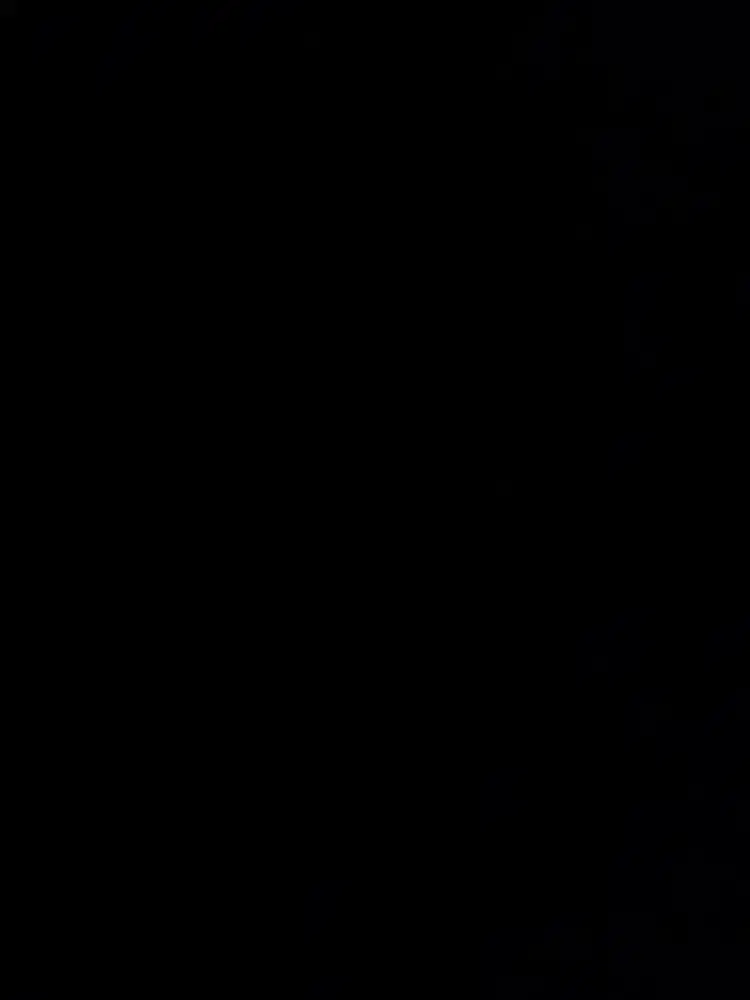 Dicari ART Pulang-Pergi