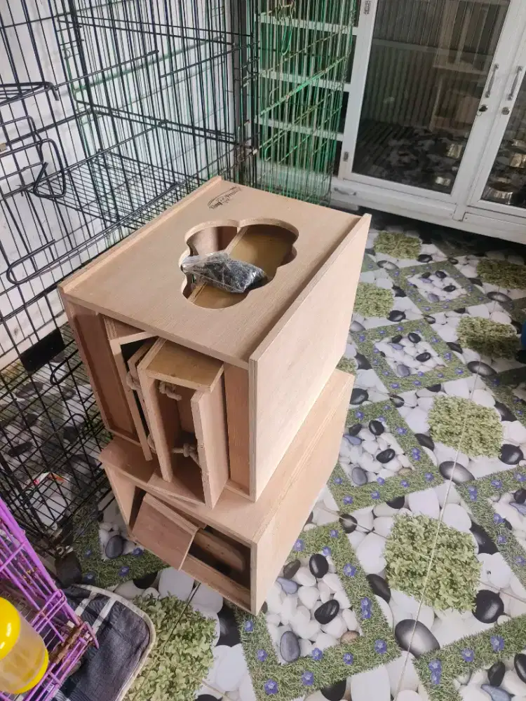 Cat playground mainan kucing baru