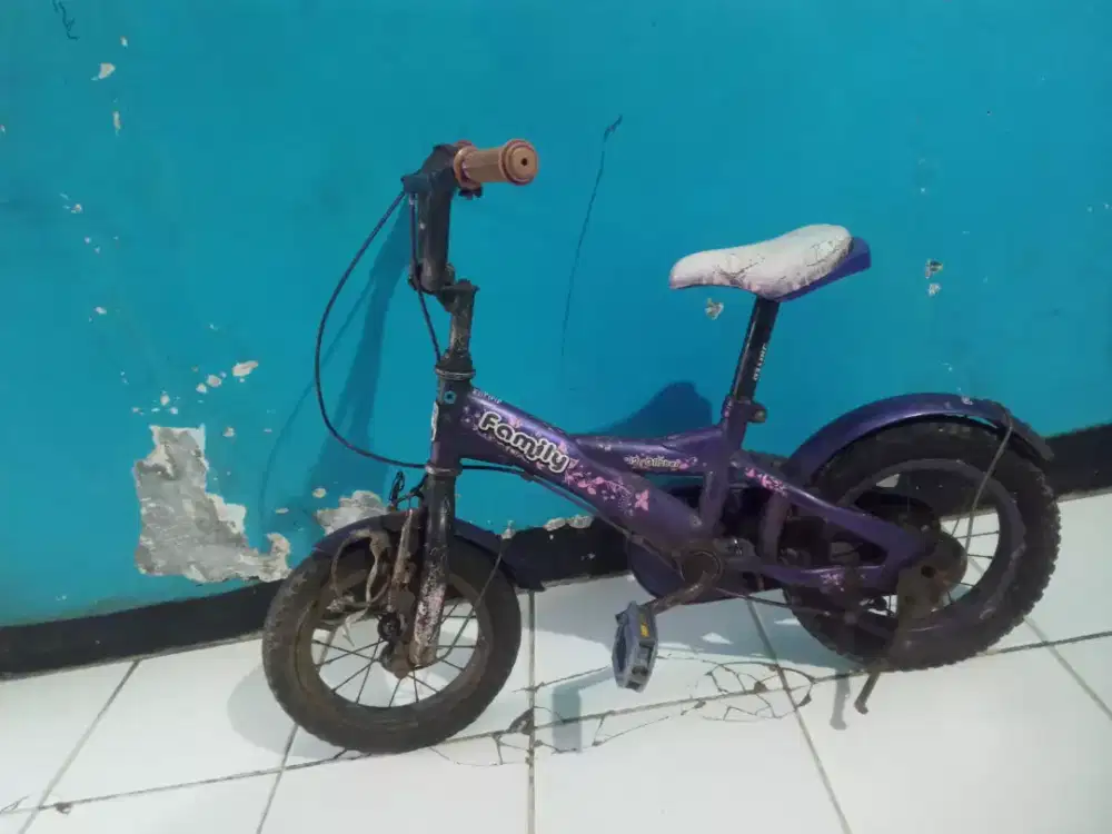 Sepeda anak Family ring 12 minus