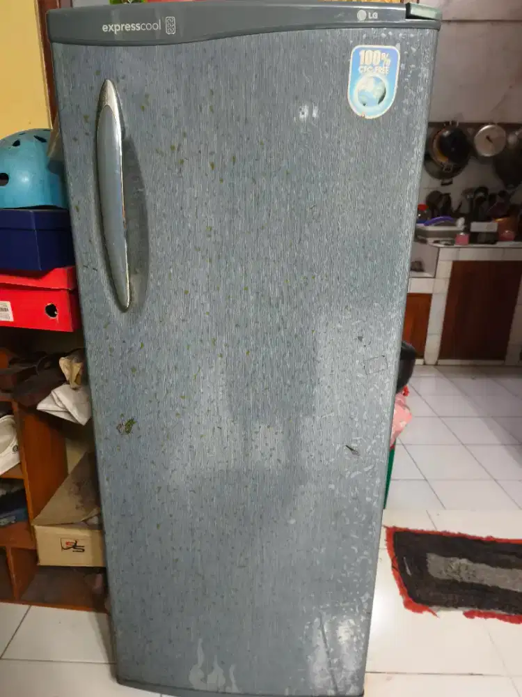 Kulkas frozen LG 1 pintu