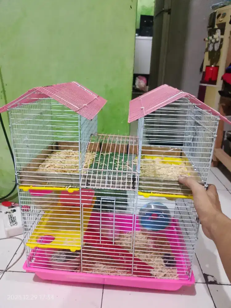 Kandang hamster apartemen hamster