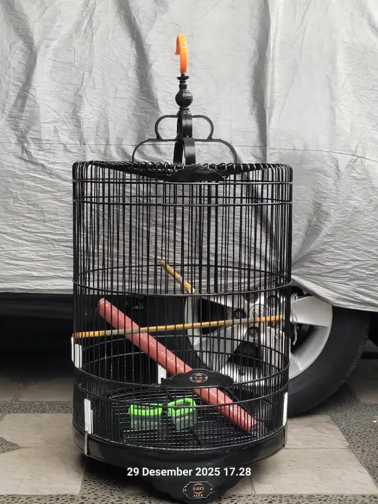 Sangkar Rafi Jaya No 3
