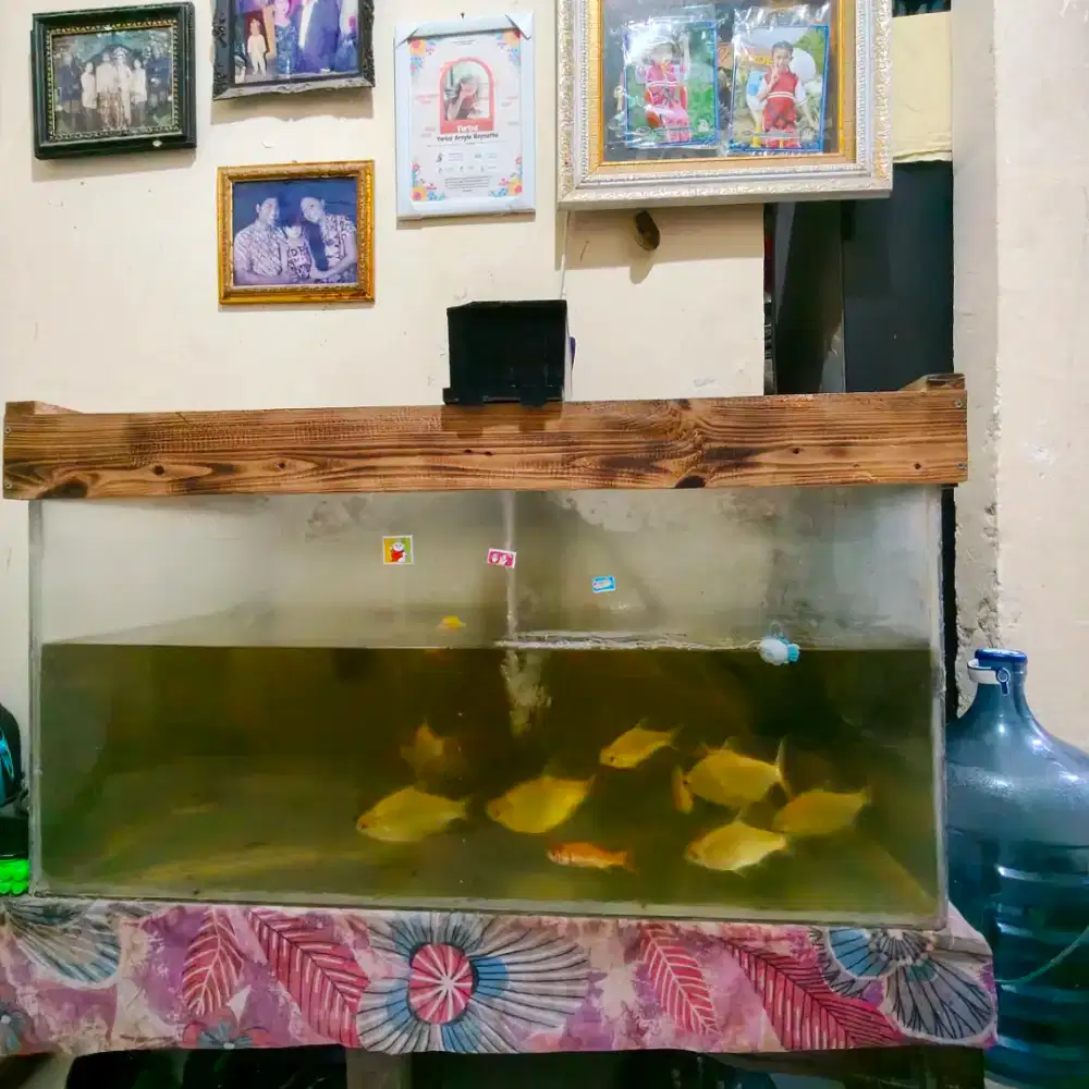 Aquarium ukuran 93cm x 55cm