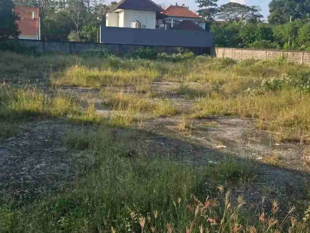 Di sewakan tanah bagus cocok untuk bangun villa sudah tembok keliling siap bangun