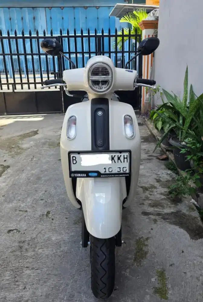 Fazzio Hybrid Neo 2025