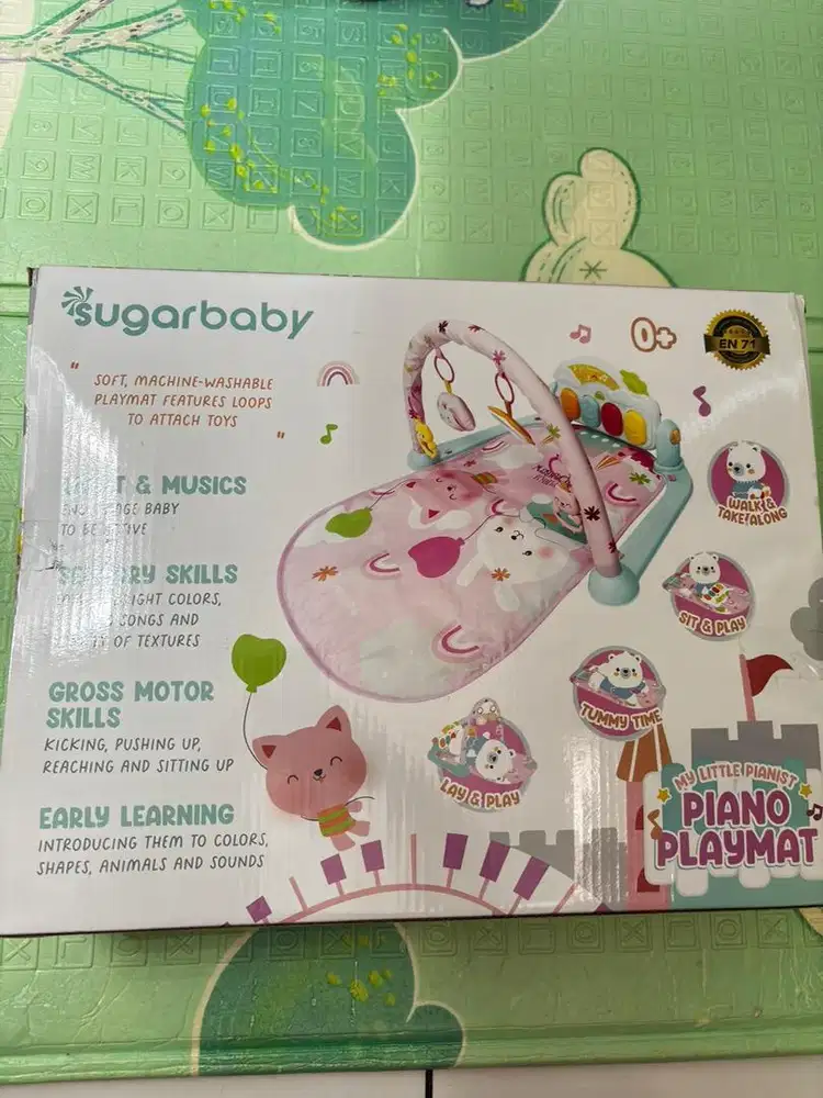 Sugar baby playmate gym