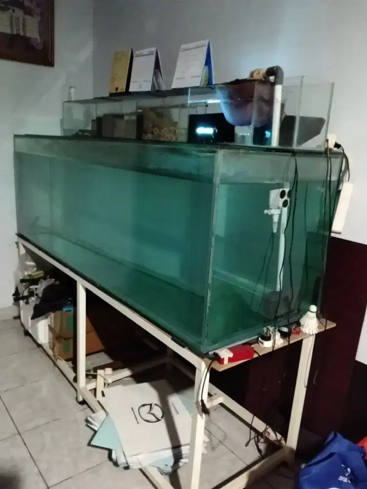 Akuarium besar bekas arwana