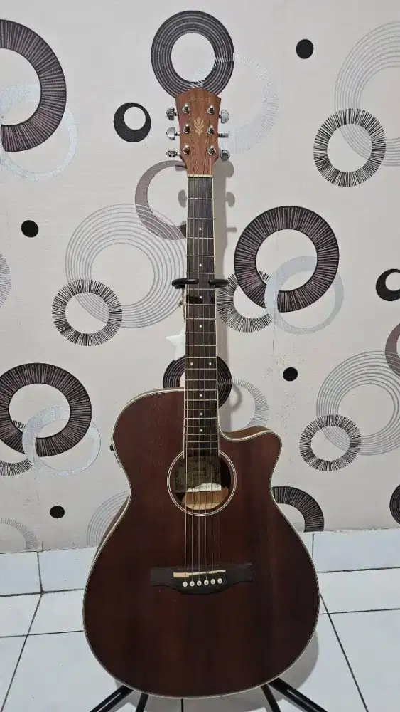 Gitar Akustik Ibanez AEG8EMH
