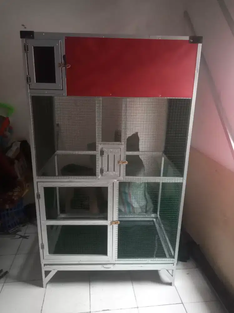 Kdng ternak murai dll