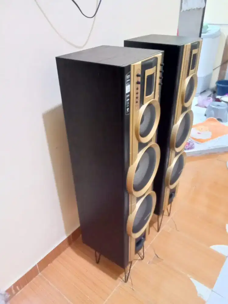 Speaker aktiv polytron