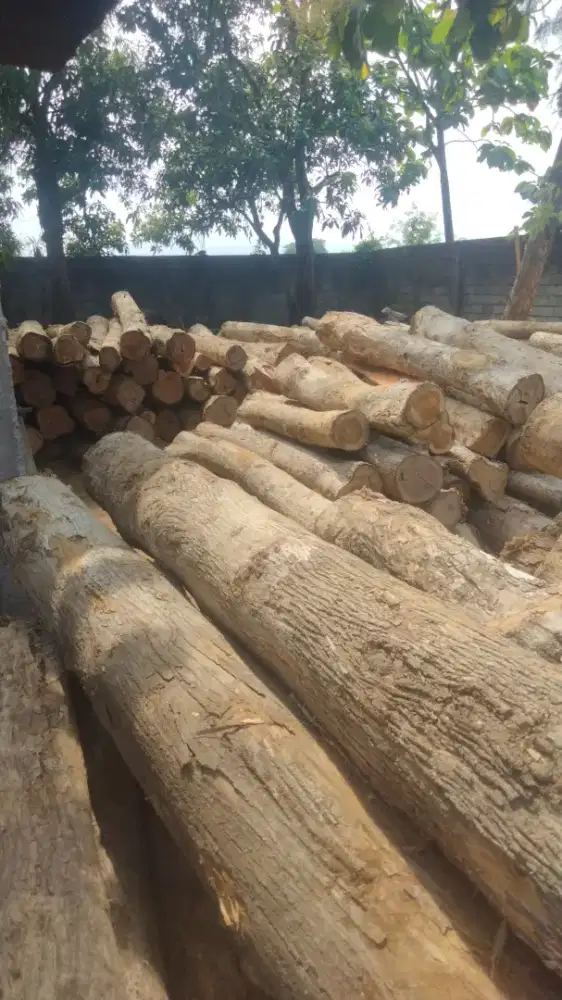 Jual kusen pintu kayu jati