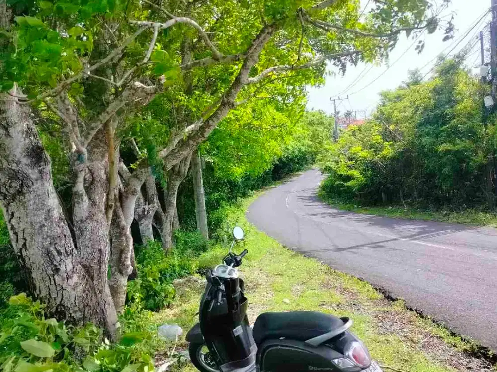 Tanah premium jln raya pura pageh ungasan 884m2 idr 5,5jt/m2