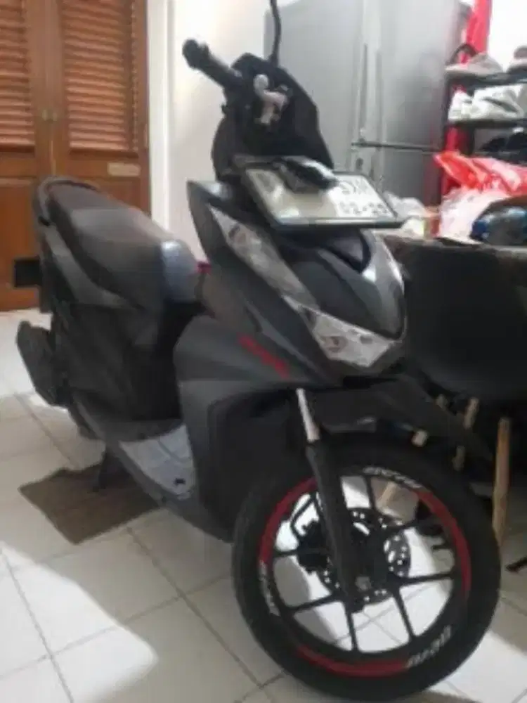 Beat deluxe 2024, pajek hidup